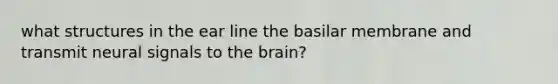 what structures in the ear line the basilar membrane and transmit neural signals to the brain?