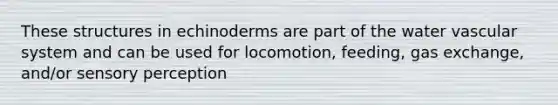 These structures in echinoderms are part of the water vascular system and can be used for locomotion, feeding, gas exchange, and/or sensory perception