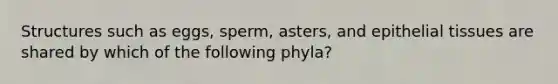 Structures such as eggs, sperm, asters, and epithelial tissues are shared by which of the following phyla?