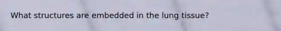 What structures are embedded in the lung tissue?