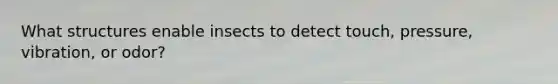 What structures enable insects to detect touch, pressure, vibration, or odor?
