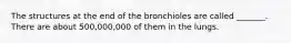 The structures at the end of the bronchioles are called _______. There are about 500,000,000 of them in the lungs.