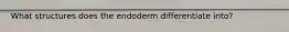 What structures does the endoderm differentiate into?