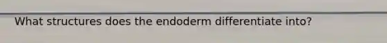 What structures does the endoderm differentiate into?