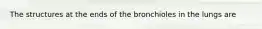 The structures at the ends of the bronchioles in the lungs are