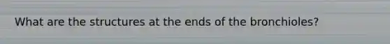 What are the structures at the ends of the bronchioles?