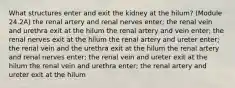 What structures enter and exit the kidney at the hilum? (Module 24.2A) the renal artery and renal nerves enter; the renal vein and urethra exit at the hilum the renal artery and vein enter; the renal nerves exit at the hilum the renal artery and ureter enter; the renal vein and the urethra exit at the hilum the renal artery and renal nerves enter; the renal vein and ureter exit at the hilum the renal vein and urethra enter; the renal artery and ureter exit at the hilum