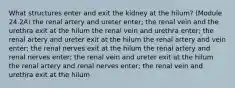 What structures enter and exit the kidney at the hilum? (Module 24.2A) the renal artery and ureter enter; the renal vein and the urethra exit at the hilum the renal vein and urethra enter; the renal artery and ureter exit at the hilum the renal artery and vein enter; the renal nerves exit at the hilum the renal artery and renal nerves enter; the renal vein and ureter exit at the hilum the renal artery and renal nerves enter; the renal vein and urethra exit at the hilum