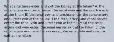 What structures enter and exit the kidney at the hilum? A) the renal artery and ureter enter; the renal vein and the urethra exit at the hilum B) the renal vein and urethra enter; the renal artery and ureter exit at the hilum C) the renal artery and renal nerves enter; the renal vein and ureter exit at the hilum D) the renal artery and vein enter; the renal nerves exit at the hilum E) the renal artery and renal nerves enter; the renal vein and urethra exit at the hilum