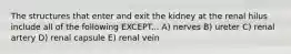 The structures that enter and exit the kidney at the renal hilus include all of the following EXCEPT... A) nerves B) ureter C) renal artery D) renal capsule E) renal vein