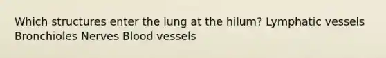 Which structures enter the lung at the hilum? Lymphatic vessels Bronchioles Nerves Blood vessels