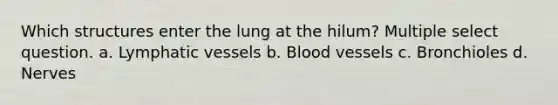 Which structures enter the lung at the hilum? Multiple select question. a. Lymphatic vessels b. Blood vessels c. Bronchioles d. Nerves