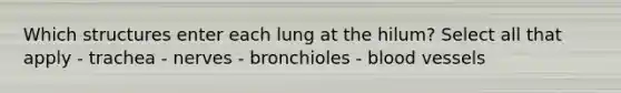 Which structures enter each lung at the hilum? Select all that apply - trachea - nerves - bronchioles - blood vessels