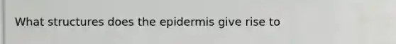 What structures does <a href='https://www.questionai.com/knowledge/kBFgQMpq6s-the-epidermis' class='anchor-knowledge'>the epidermis</a> give rise to