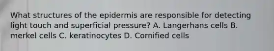 What structures of the epidermis are responsible for detecting light touch and superficial pressure? A. Langerhans cells B. merkel cells C. keratinocytes D. Cornified cells