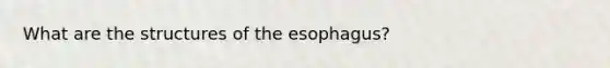 What are the structures of the esophagus?