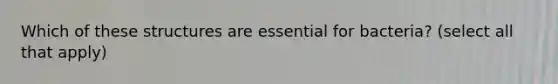 Which of these structures are essential for bacteria? (select all that apply)