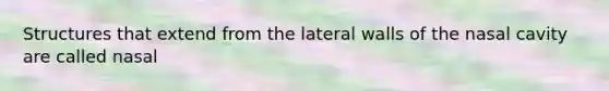 Structures that extend from the lateral walls of the nasal cavity are called nasal