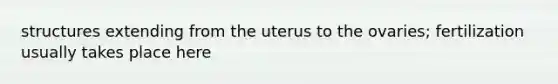 structures extending from the uterus to the ovaries; fertilization usually takes place here