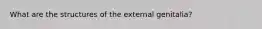 What are the structures of the external genitalia?