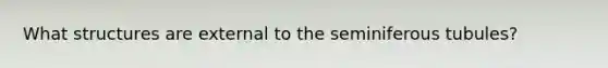 What structures are external to the seminiferous tubules?