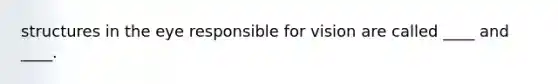 structures in the eye responsible for vision are called ____ and ____.