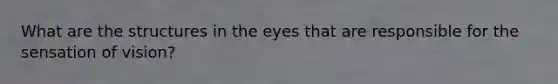 What are the structures in the eyes that are responsible for the sensation of vision?