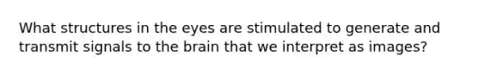 What structures in the eyes are stimulated to generate and transmit signals to the brain that we interpret as images?