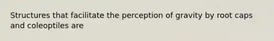 Structures that facilitate the perception of gravity by root caps and coleoptiles are