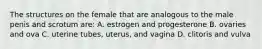 The structures on the female that are analogous to the male penis and scrotum are: A. estrogen and progesterone B. ovaries and ova C. uterine tubes, uterus, and vagina D. clitoris and vulva