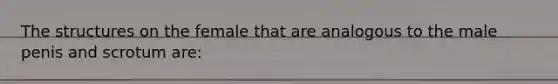 The structures on the female that are analogous to the male penis and scrotum are: