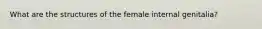 What are the structures of the female internal genitalia?