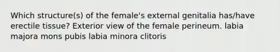 Which structure(s) of the female's external genitalia has/have erectile tissue? Exterior view of the female perineum. labia majora mons pubis labia minora clitoris