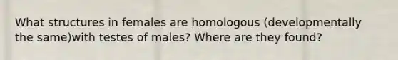 What structures in females are homologous (developmentally the same)with testes of males? Where are they found?