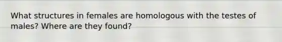 What structures in females are homologous with the testes of males? Where are they found?