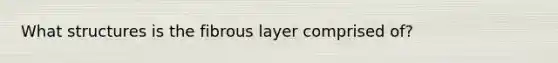 What structures is the fibrous layer comprised of?