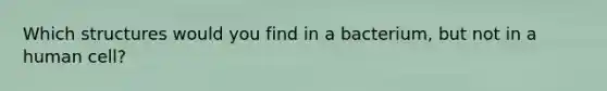 Which structures would you find in a bacterium, but not in a human cell?