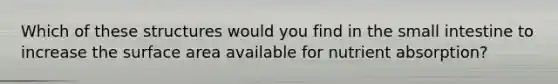 Which of these structures would you find in <a href='https://www.questionai.com/knowledge/kt623fh5xn-the-small-intestine' class='anchor-knowledge'>the small intestine</a> to increase the <a href='https://www.questionai.com/knowledge/kEtsSAPENL-surface-area' class='anchor-knowledge'>surface area</a> available for nutrient absorption?