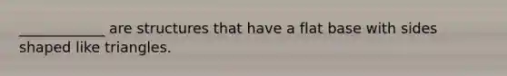 ____________ are structures that have a flat base with sides shaped like triangles.