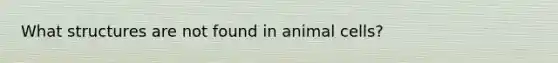 What structures are not found in animal cells?