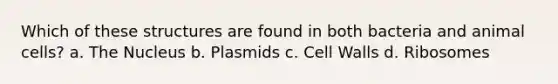 Which of these structures are found in both bacteria and animal cells? a. The Nucleus b. Plasmids c. Cell Walls d. Ribosomes