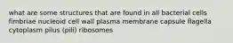 what are some structures that are found in all bacterial cells fimbriae nucleoid cell wall plasma membrane capsule flagella cytoplasm pilus (pili) ribosomes