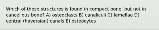 Which of these structures is found in compact bone, but not in cancellous bone? A) osteoclasts B) canaliculi C) lamellae D) central (haversian) canals E) osteocytes