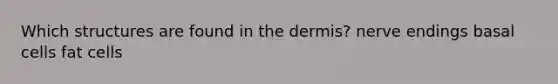 Which structures are found in the dermis? nerve endings basal cells fat cells