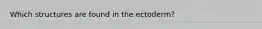 Which structures are found in the ectoderm?