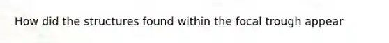 How did the structures found within the focal trough appear