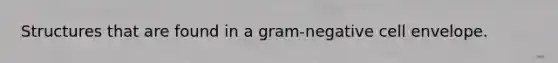 Structures that are found in a gram-negative cell envelope.