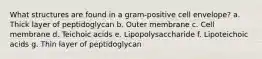 What structures are found in a gram-positive cell envelope? a. Thick layer of peptidoglycan b. Outer membrane c. Cell membrane d. Teichoic acids e. Lipopolysaccharide f. Lipoteichoic acids g. Thin layer of peptidoglycan