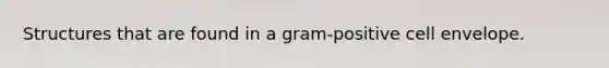 Structures that are found in a gram-positive cell envelope.