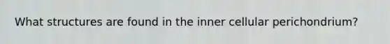 What structures are found in the inner cellular perichondrium?